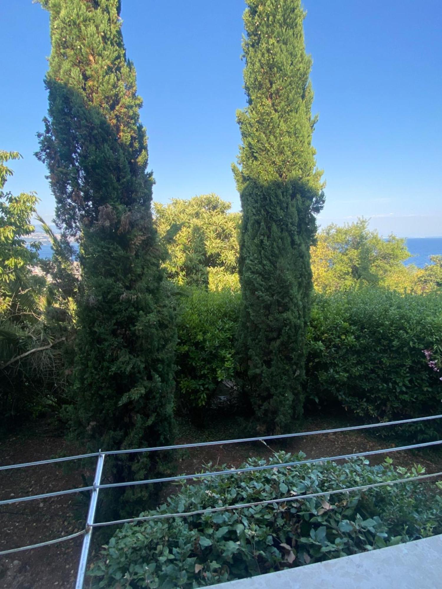 Villa Salyna Ičići Exterior foto