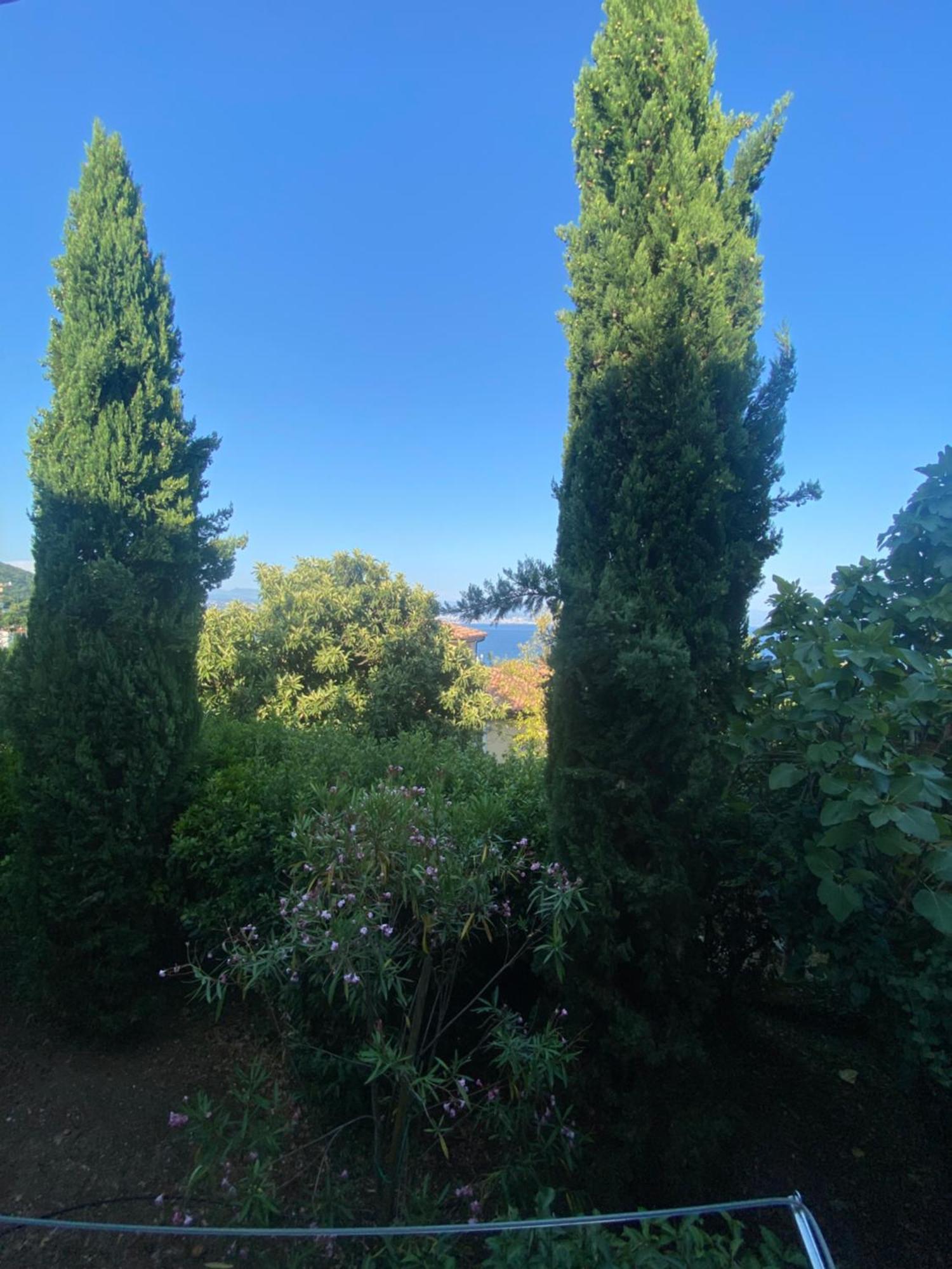 Villa Salyna Ičići Exterior foto