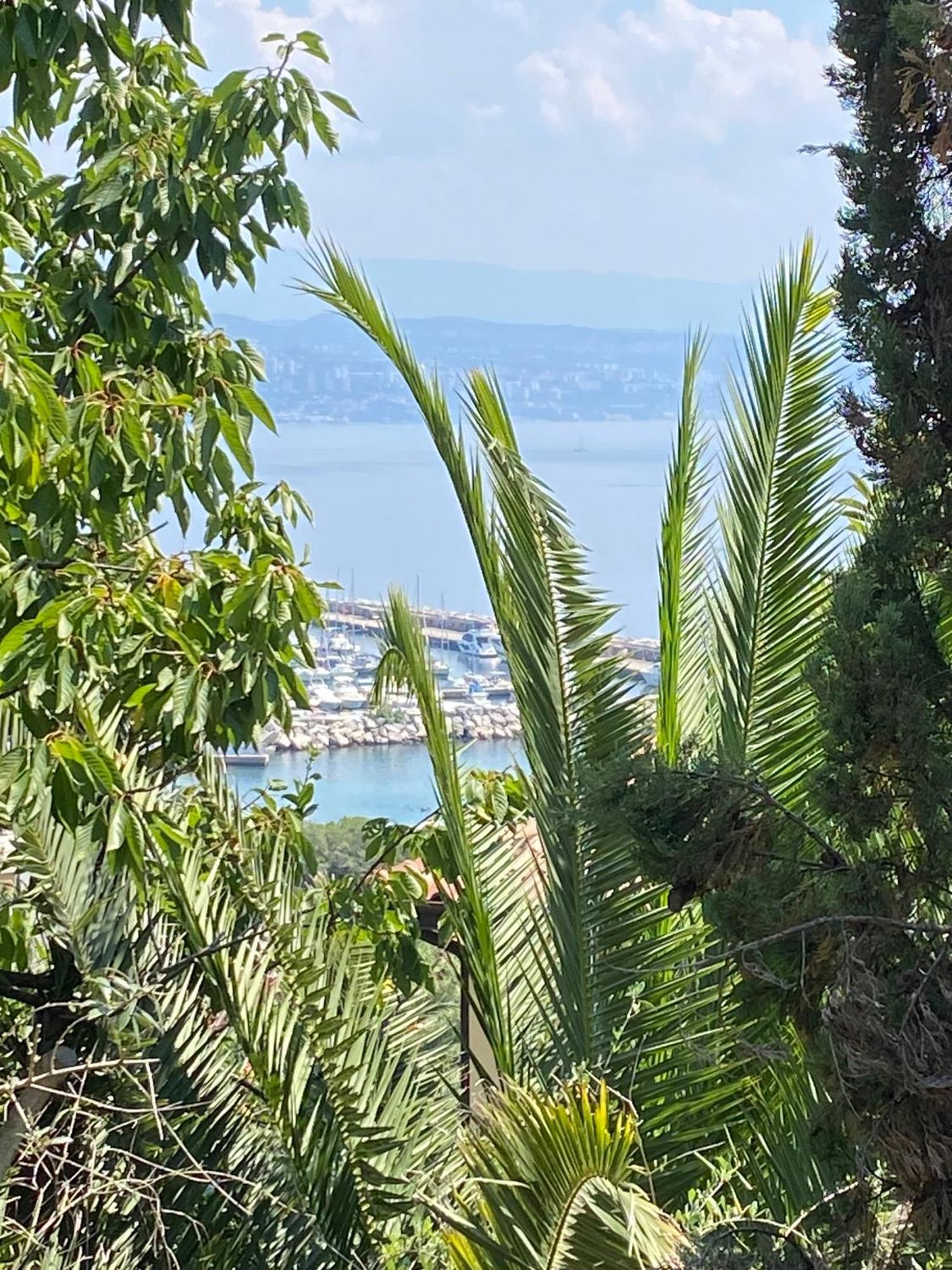 Villa Salyna Ičići Exterior foto