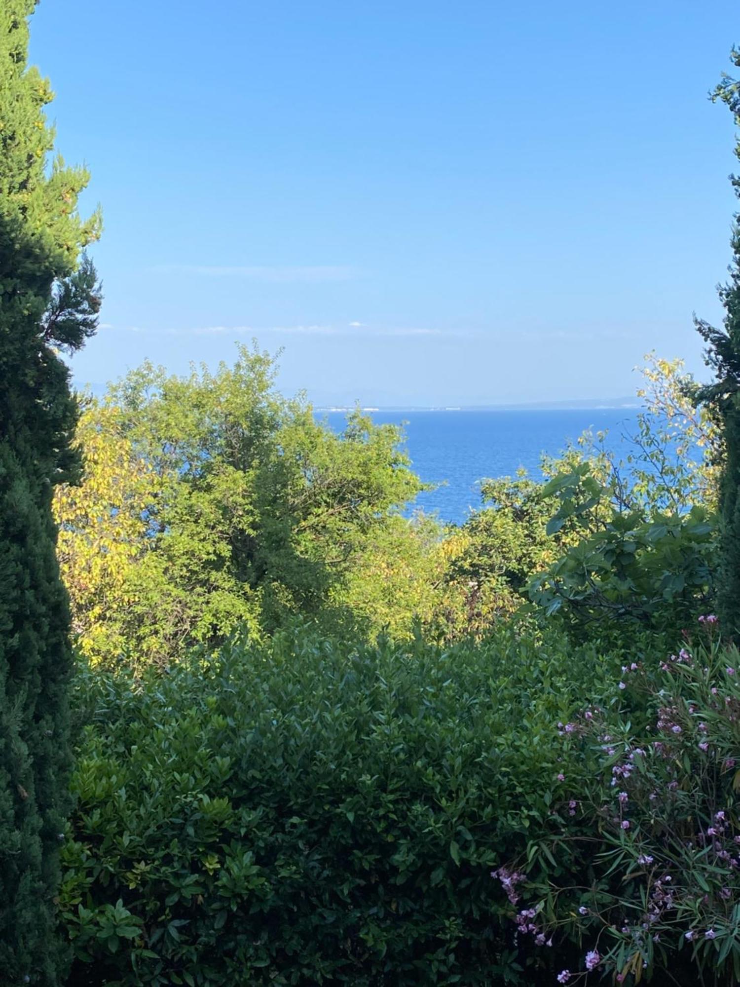 Villa Salyna Ičići Exterior foto