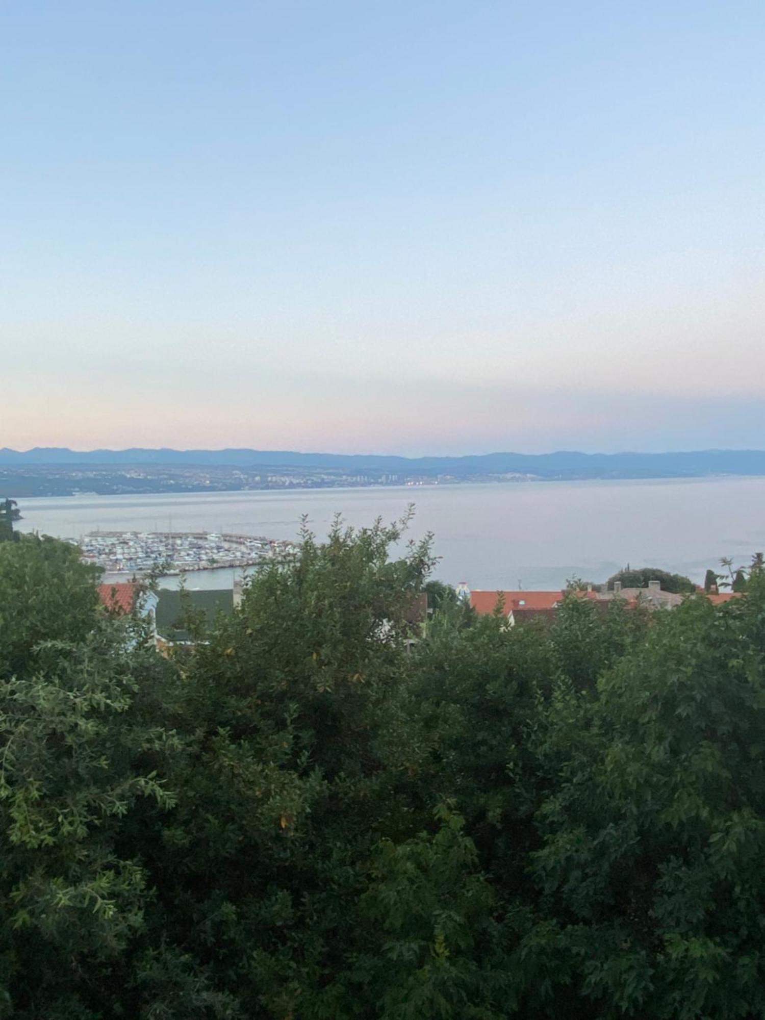Villa Salyna Ičići Exterior foto