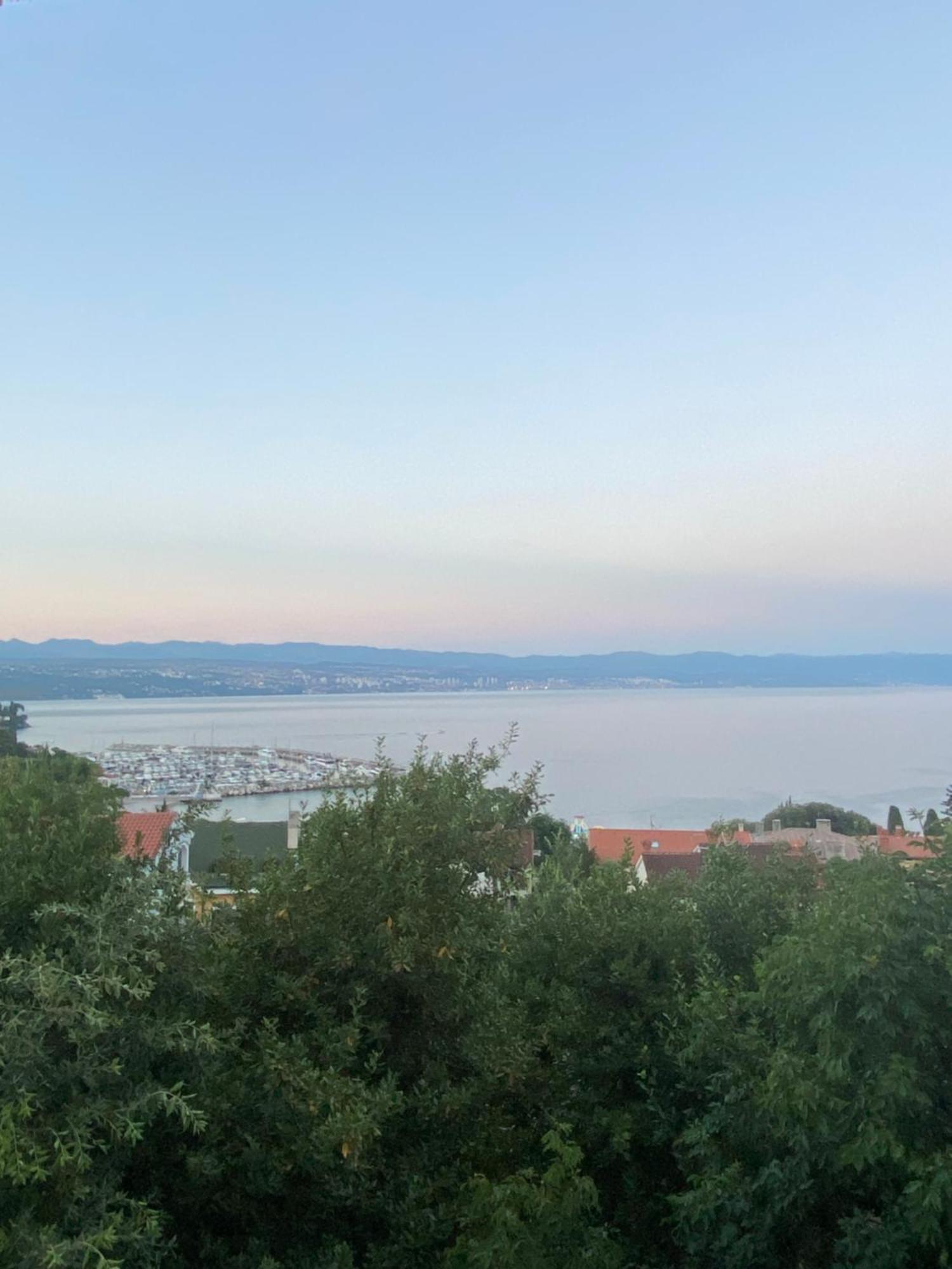 Villa Salyna Ičići Exterior foto