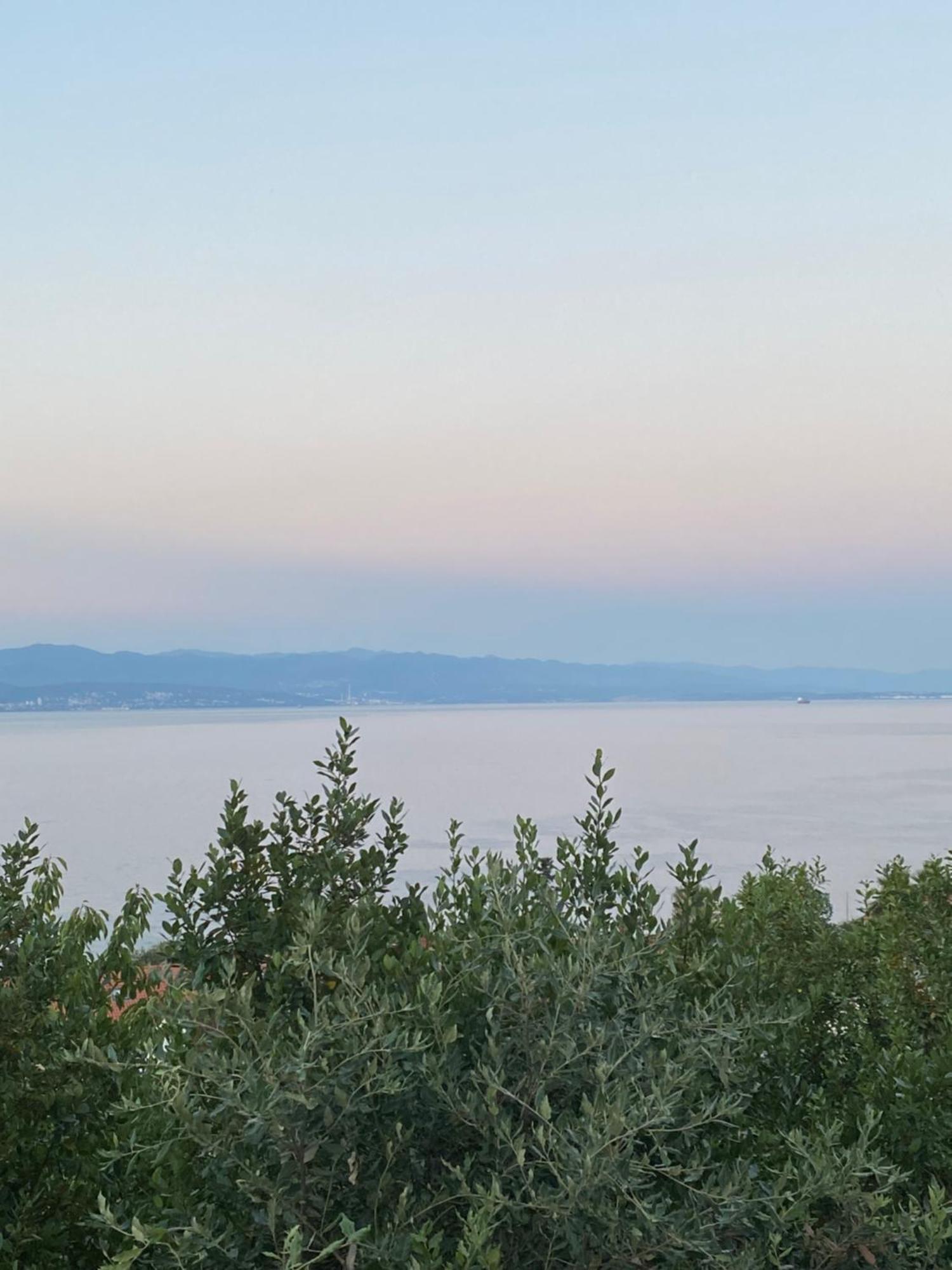 Villa Salyna Ičići Exterior foto